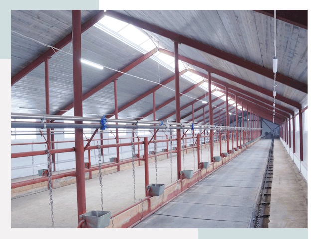 Строительство коровников в Арсеньеве от 617 руб.