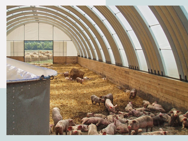 Строительство свинарников в Арсеньеве