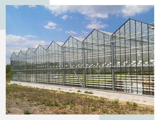 Строительство теплиц в Арсеньев от 617 руб. за м²